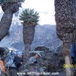 Kilimanjaro aniversario