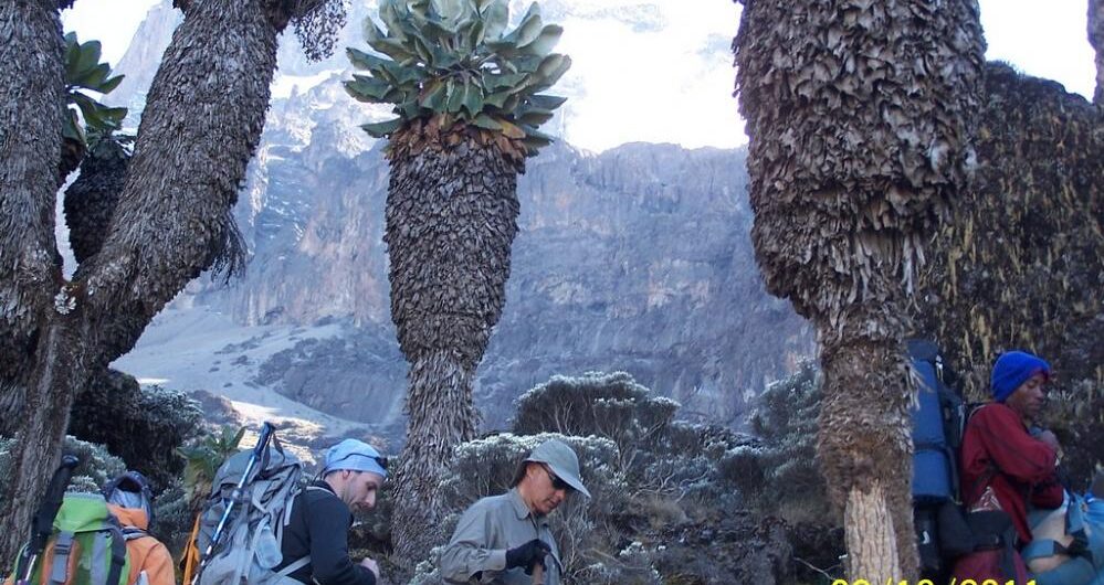 Kilimanjaro aniversario
