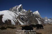 Trekking del Everest, vive el Nepal