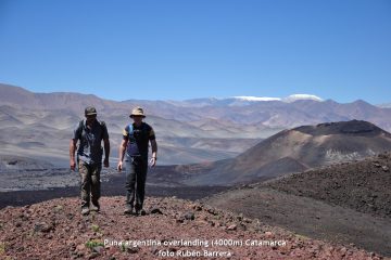 Puna argentina overlanding