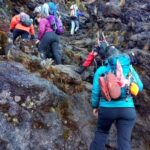 Kilimanjaro y safaris