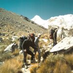 Taller en glaciar y expedición