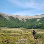 Trekking 4 Refugios Bariloche