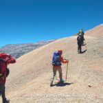 Cursos invierno - primavera