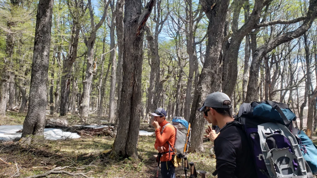 Trekkings en Bariloche
