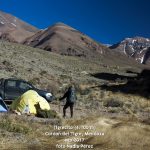 tigrecito en febrero