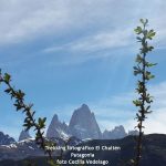 Trekking fotografico El Chalten